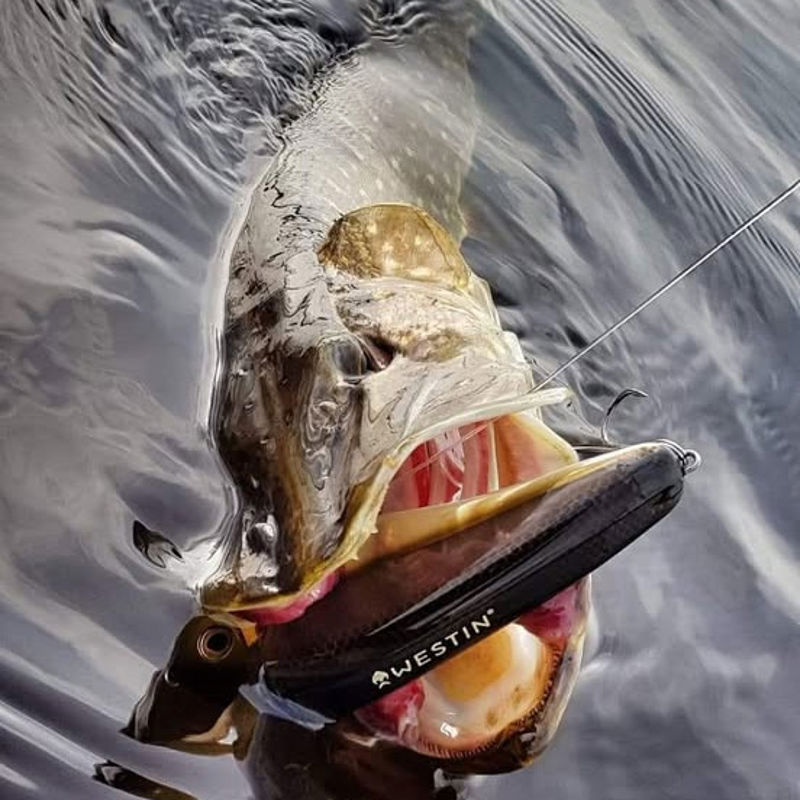 Westin Swim Glidebait 12cm 58g - Jerkbait Affondante Per Luccio E Pesce Persico - Esche Artificiali